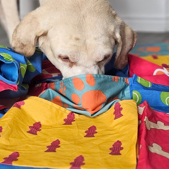 The Busy Blanket Dog Snuffle Mat Treat Sheet Snuffle Mat for All Breeds & Sizes - Picture 5 of 11